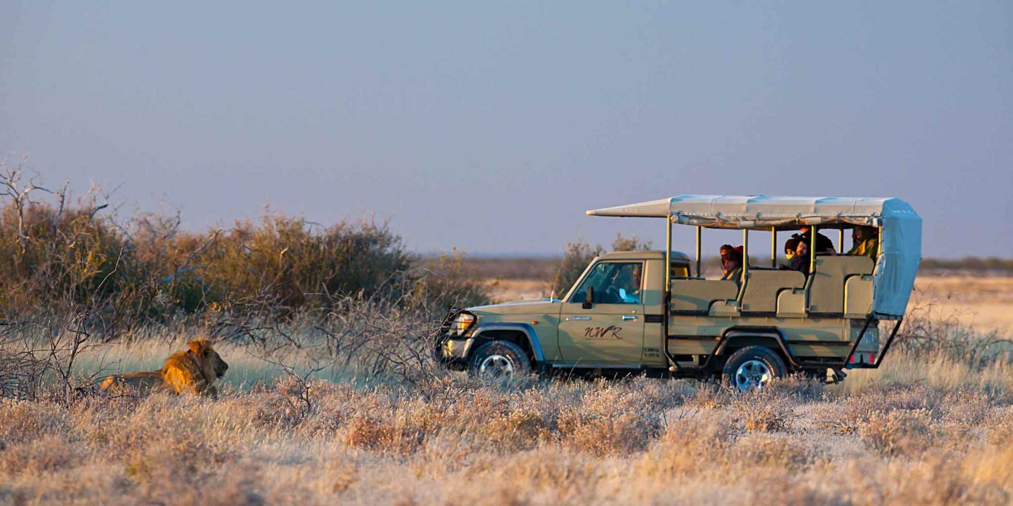 Okaukuejo Game Drive 04 © NWR 2017