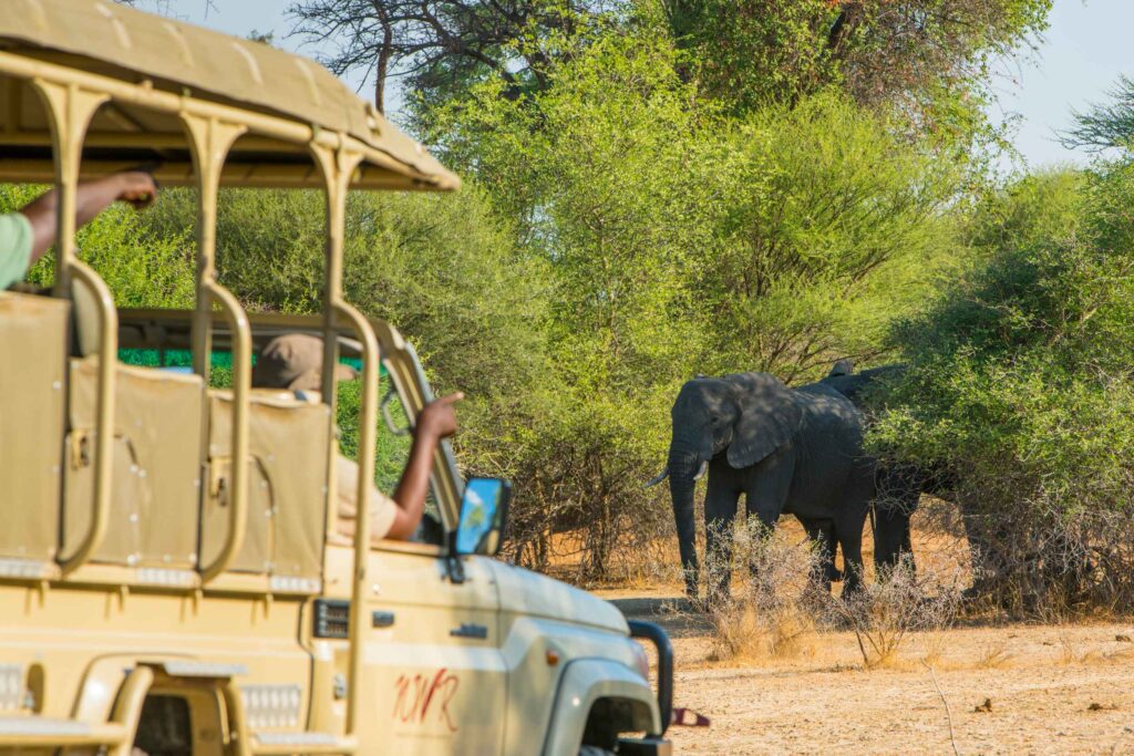 Popa Falls Resort - Namibia Wildlife Resorts