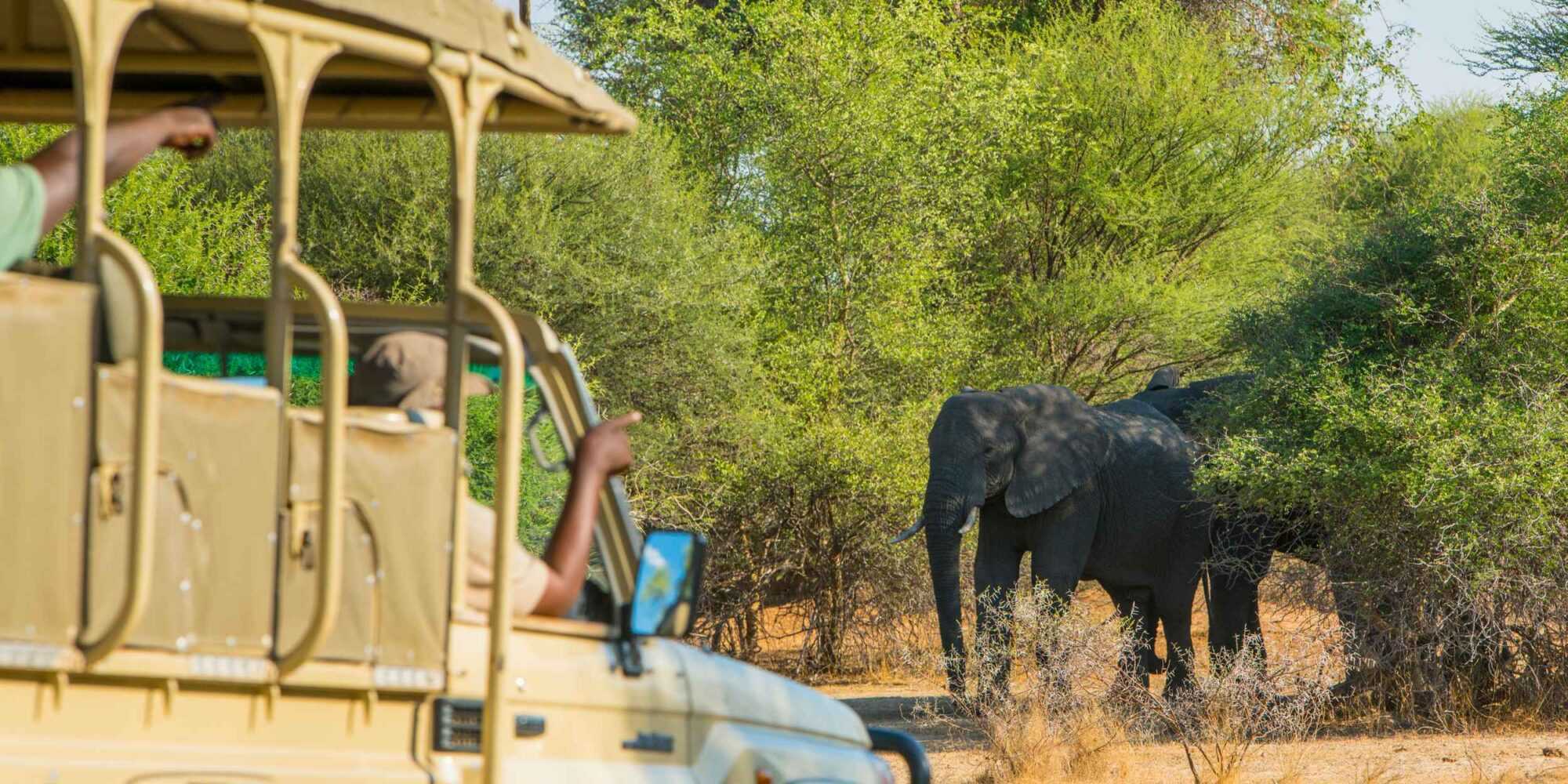 Popa Falls Game Drive 04 © NWR 2018