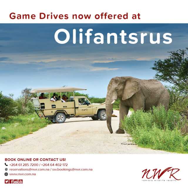 Now offering game drives at Olifantsrus! 🐘🌾
#NWRMemories #TravelWithNWR #Namibia #Africa #travelafrica #travel #tourist #NWR #instatravel #NWRMoments