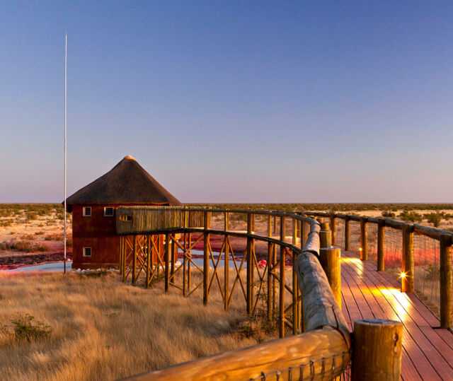 At Olifantrus campsite, guests can get a close view of the animals from the hide that overlooks the artificial waterhole. This hide offers a safe game viewing opportunity in a second-story hut with glass windows, perfect for cold or windy weather.
#NWRMemories #TravelWithNWR #Namibia #Africa #travelafrica #travel #tourist #NWR #instatravel #NWRMoments